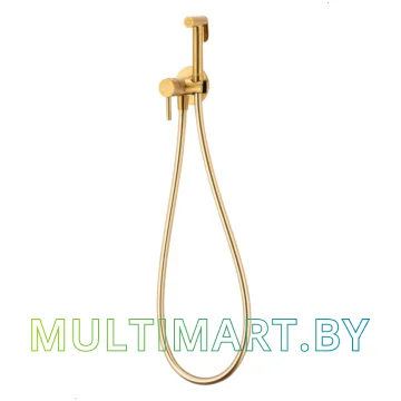 Гигиенический душ Armatura Moza 5039-512-31